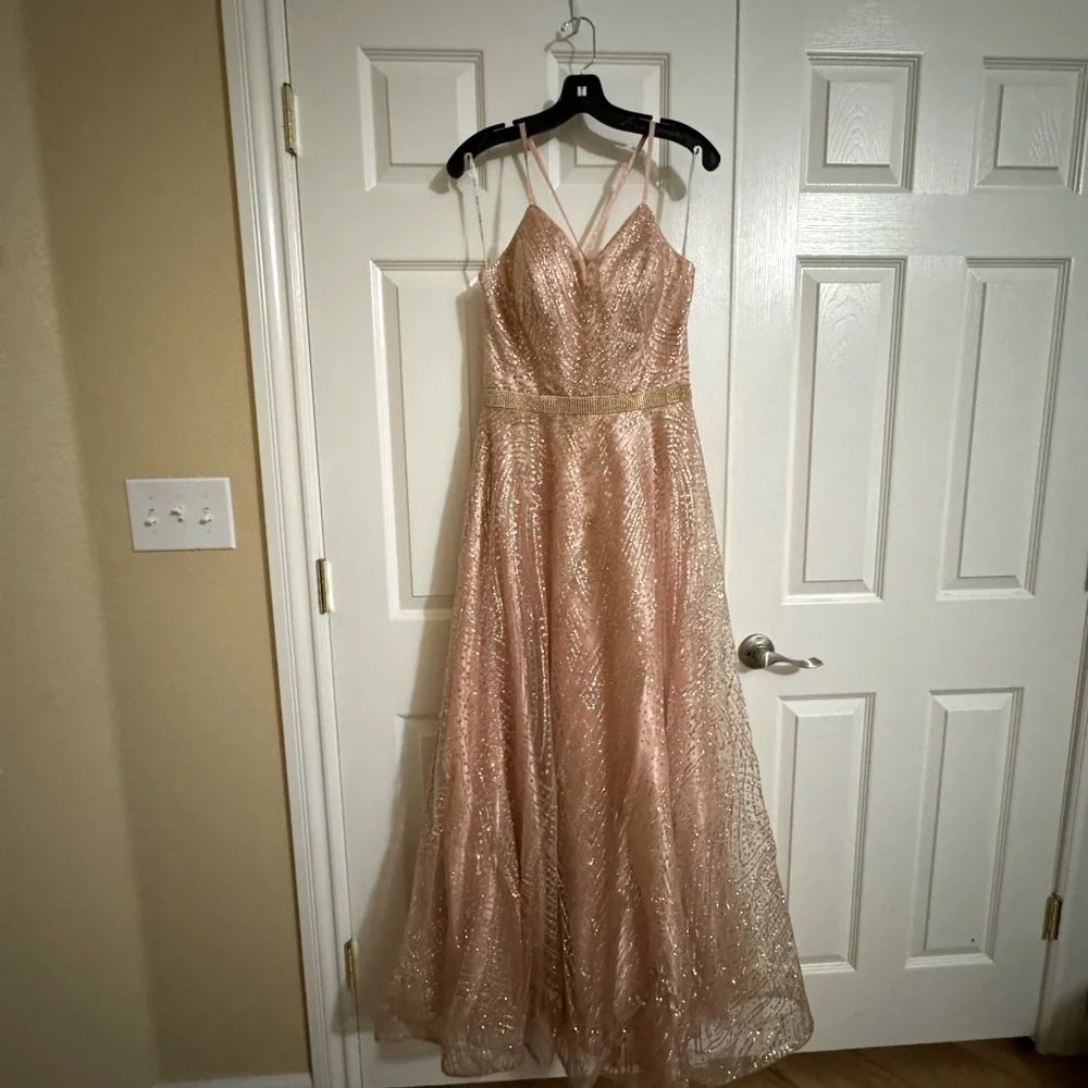 Pink Gown - Picture 8 of 11